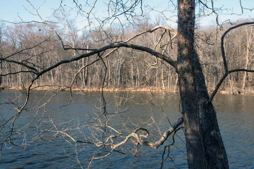 Radnor Lake - Winter 2024