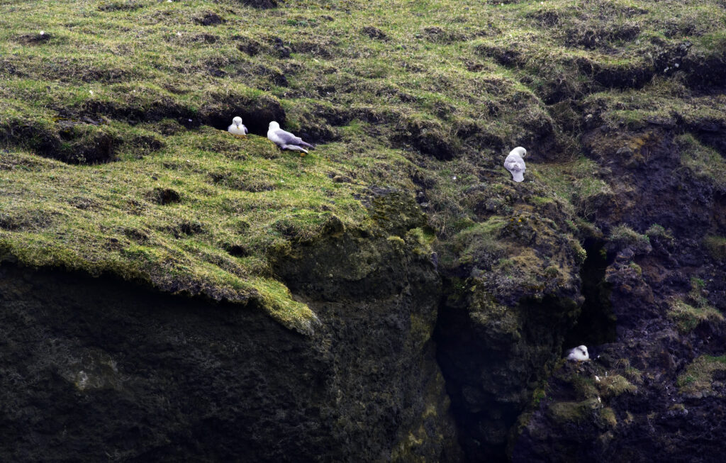 iceland 29