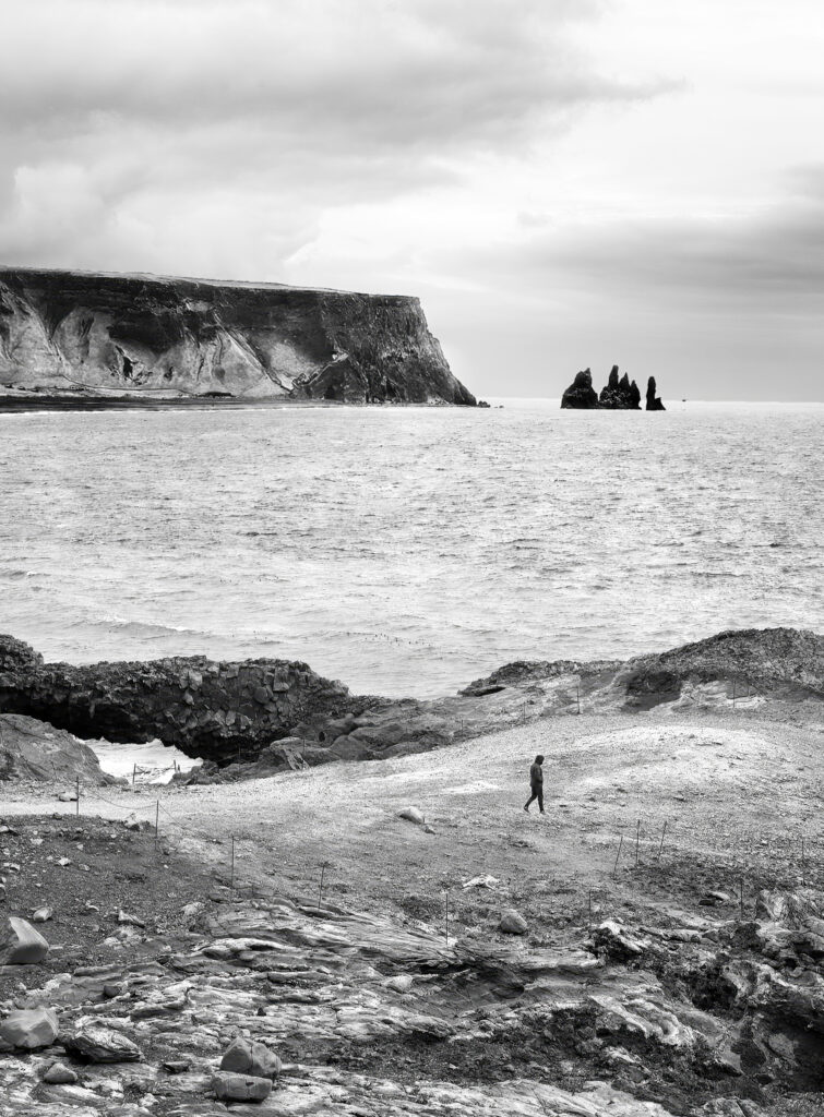 dsc0110 sharpenai focus a bw gigapixel standard v2 1.3x