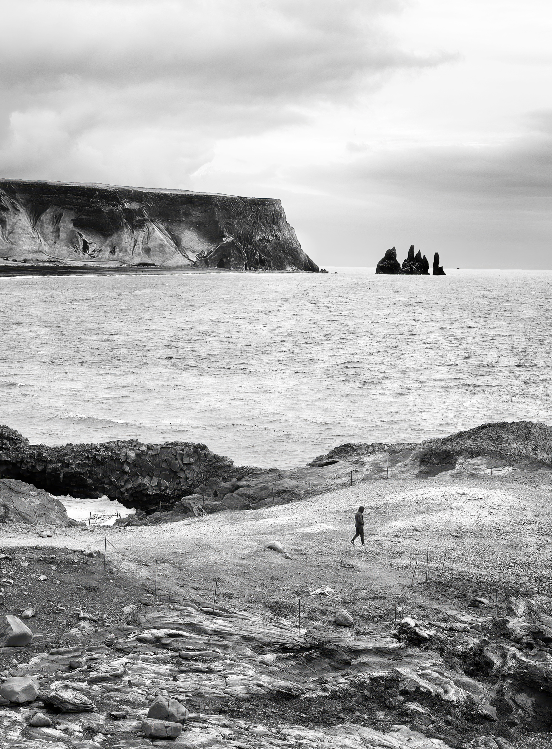 dsc0110 sharpenai focus a bw gigapixel standard v2 1.3x