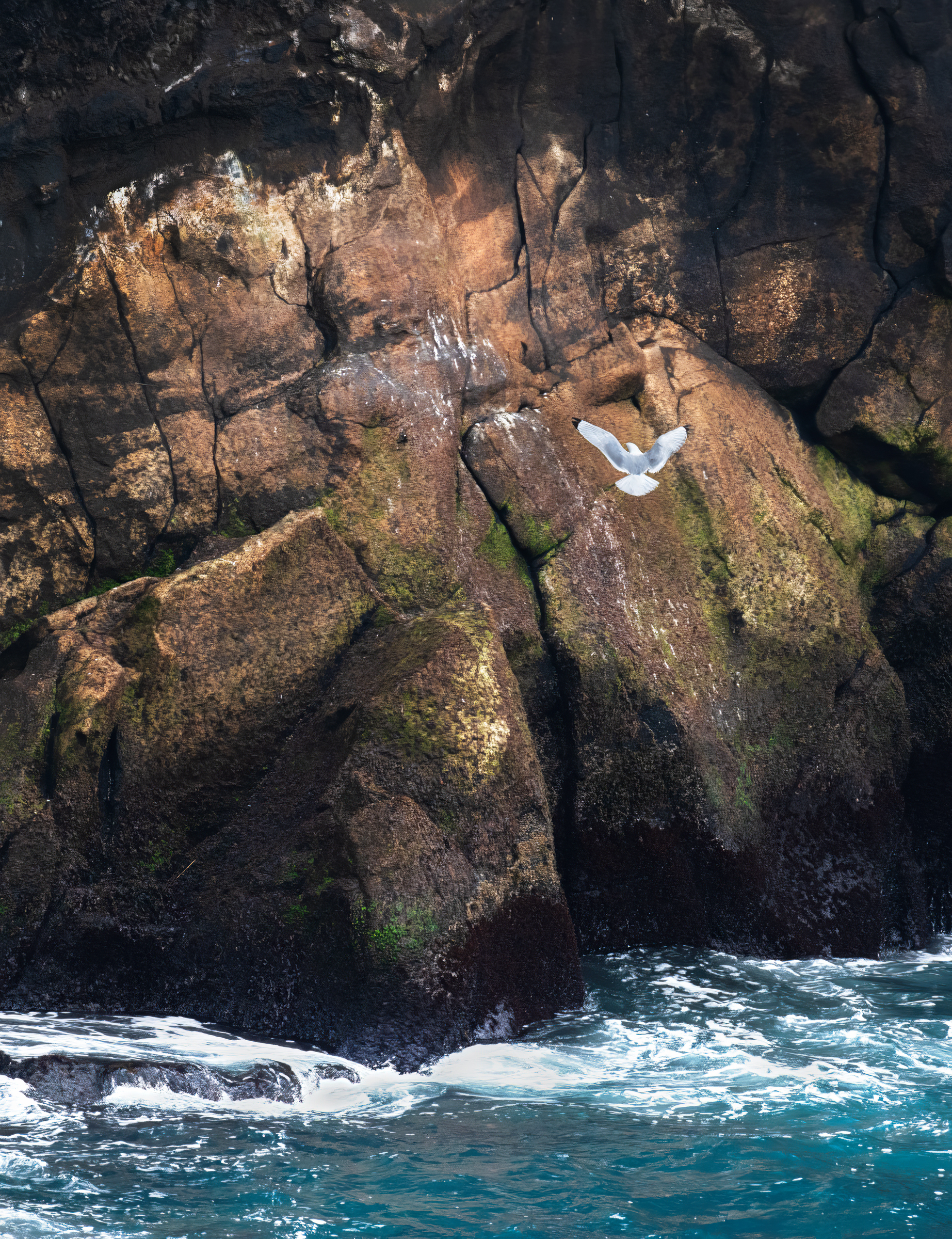 dsc9828 sharpenai motion sharpenai motion crop gigapixel standard v2 1.5x sharpenai motion