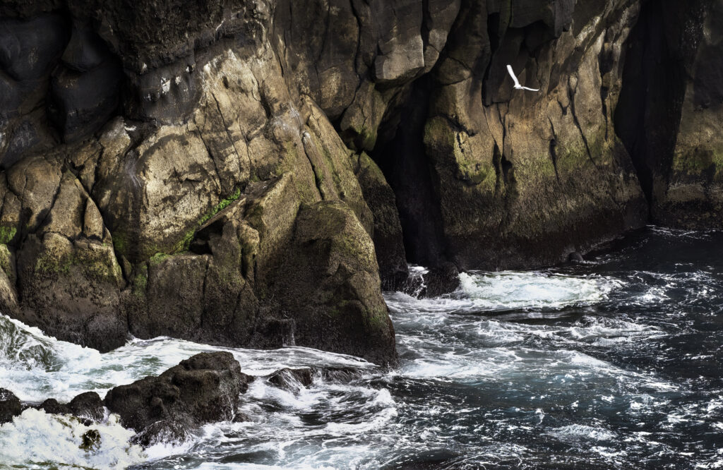 dsc9834 sharpenai focus sharpenai motion