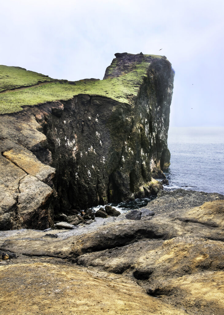 dsc9875 sharpenai focus