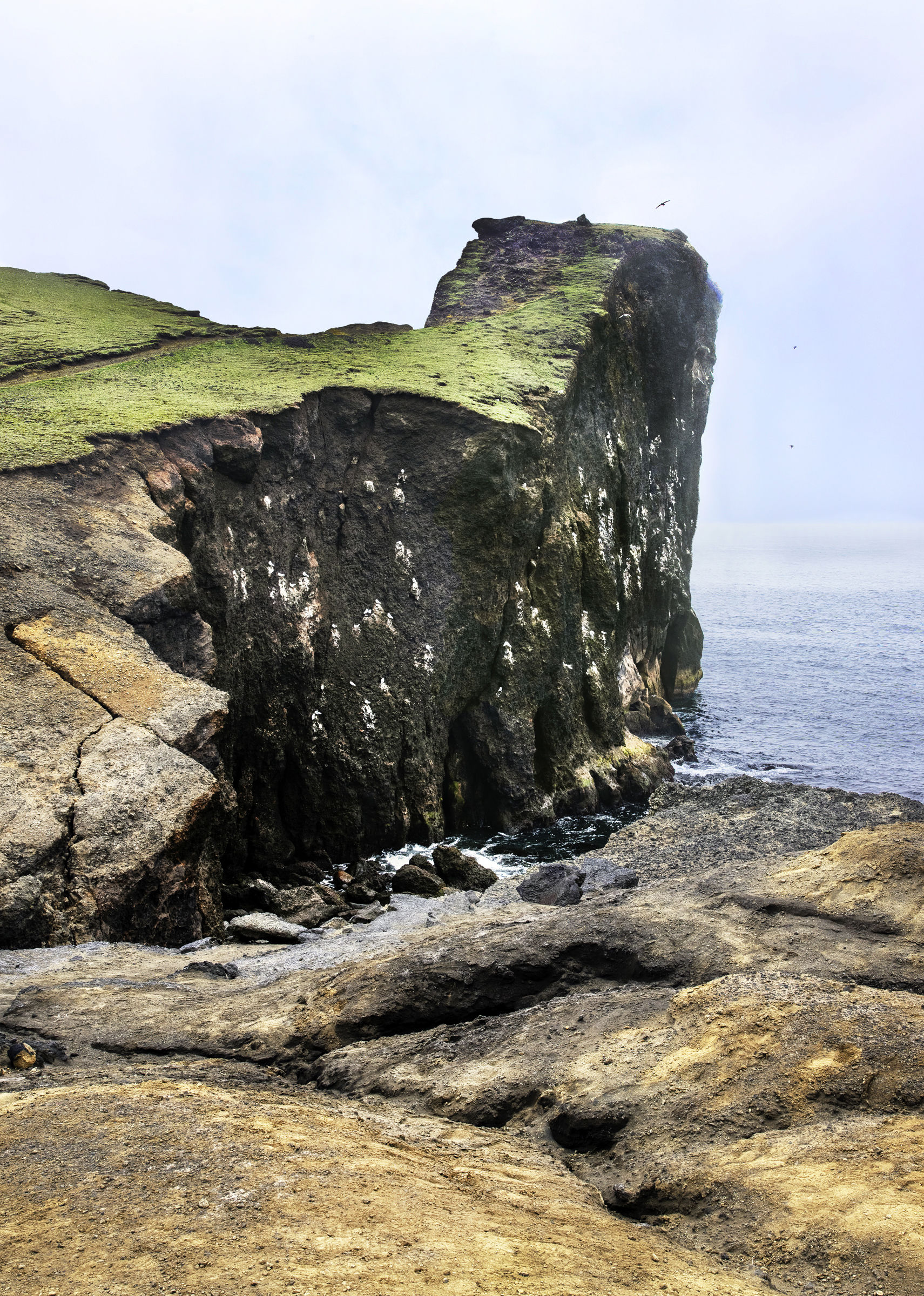 dsc9875 sharpenai focus