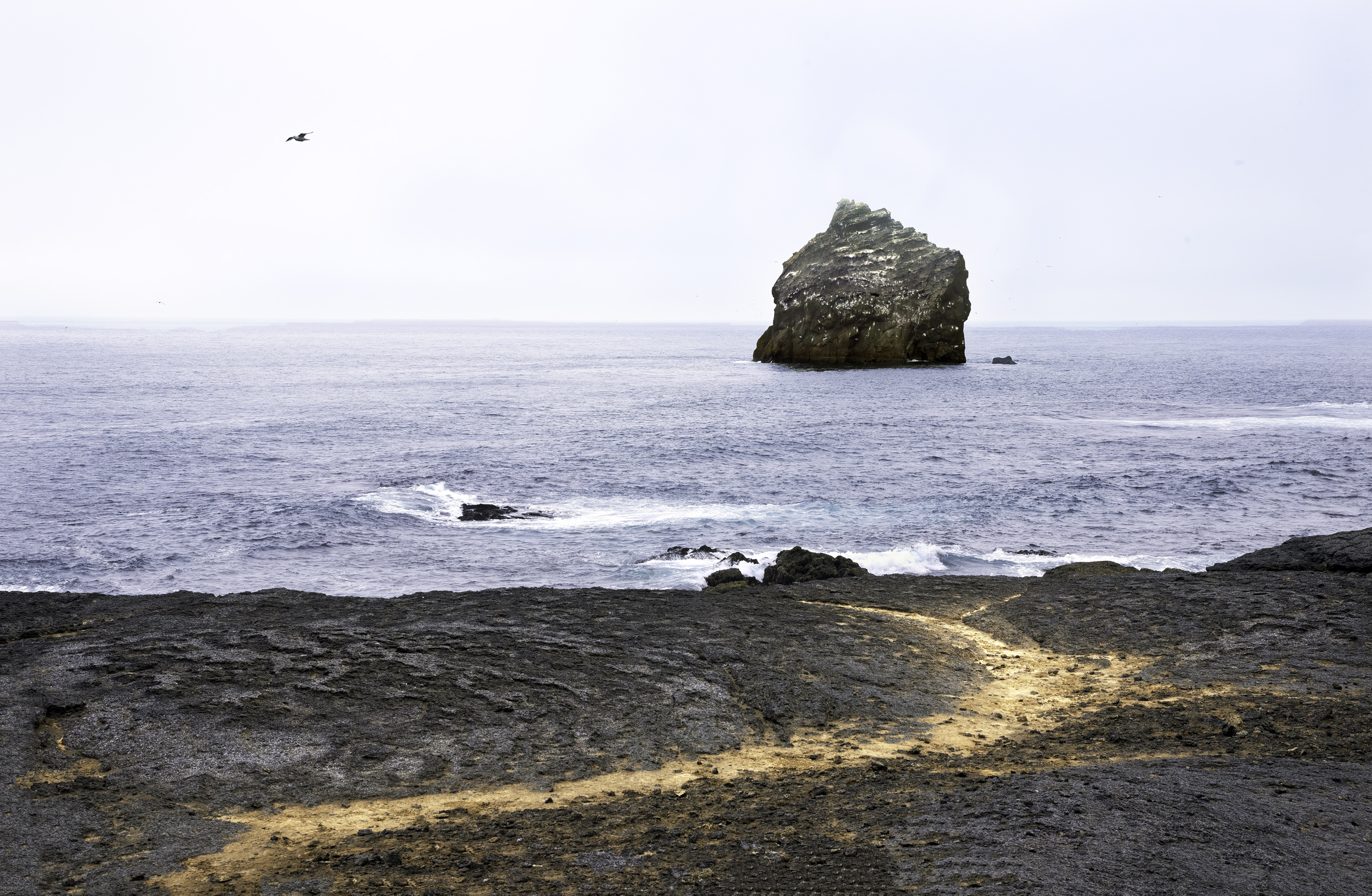 dsc9940 sharpenai focus sharpenai motion